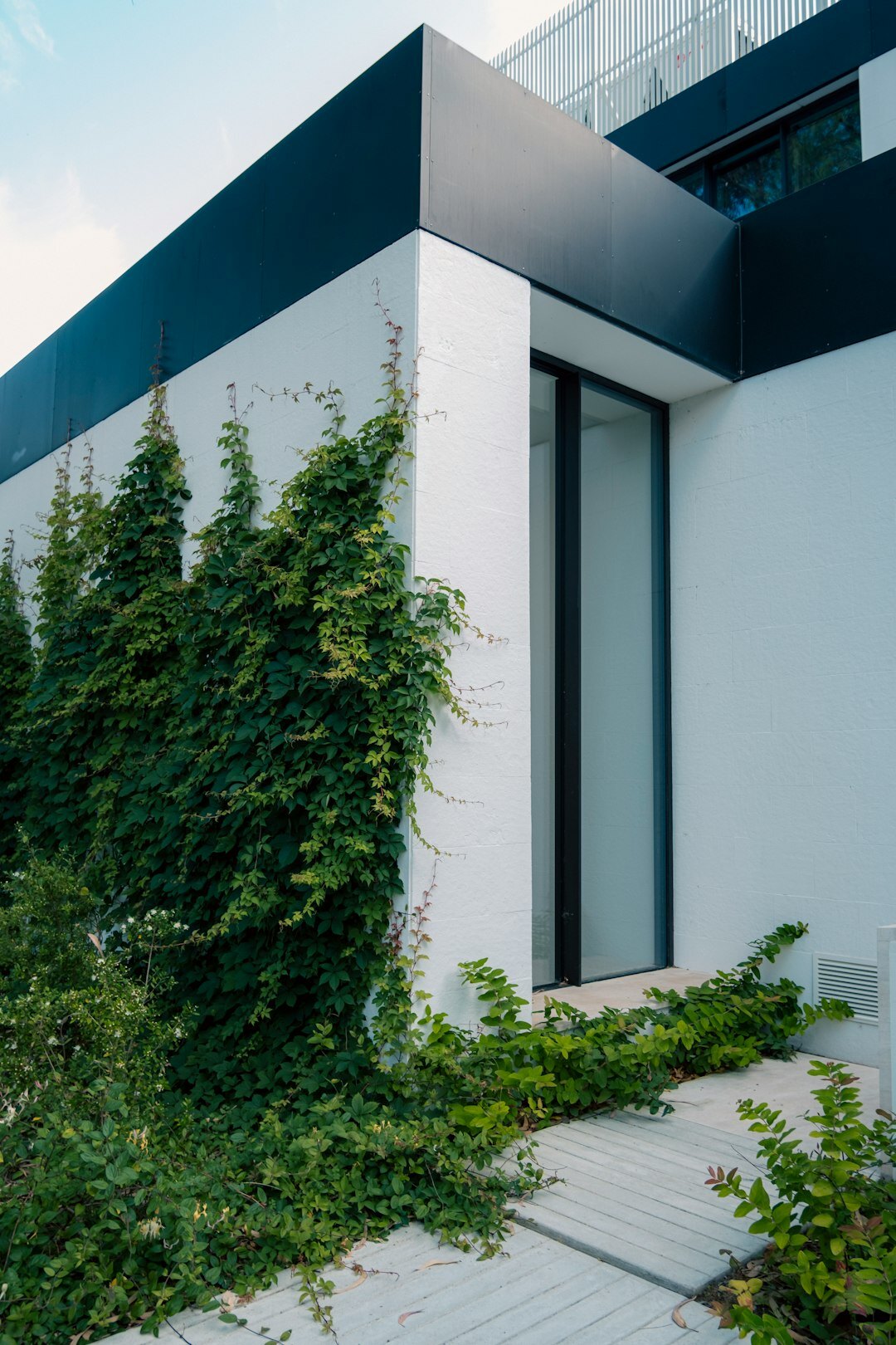 Facade of a luxury contemporary villa surrounded by greenery